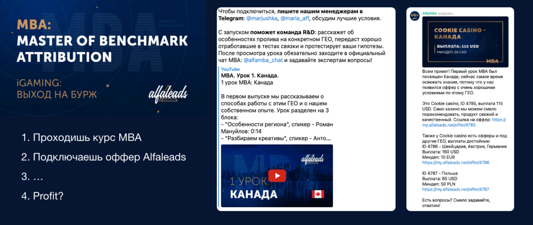 Сможет ли Alfaleads перезапуститься с новым CEO? Что происходит в Альфе в 2021?