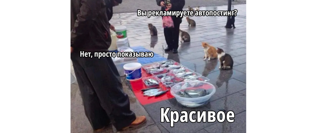 Монстры автопостинга: 10 инструментов ленивого редактора, SMMщика, арбитражника