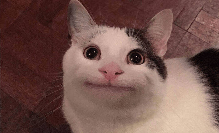 Как зарабатывать на Affhub Conf даже не покупая билет?