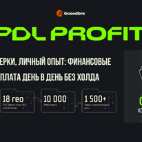 PDL Profit партнерка МФО: обзор 2026 на личном опыте — финансовые офферы, витрина и 0 дней холда